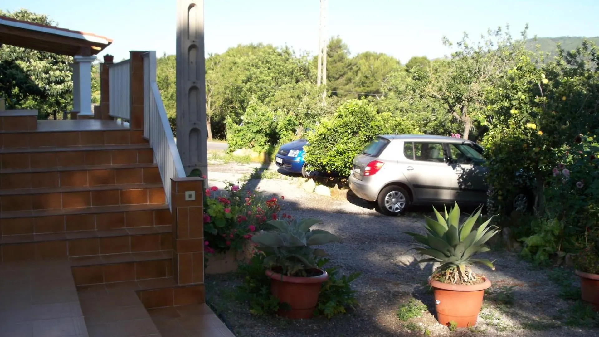Pension Las Tres Golondrinas Playa DPlaya Des Figueral Affittacamere