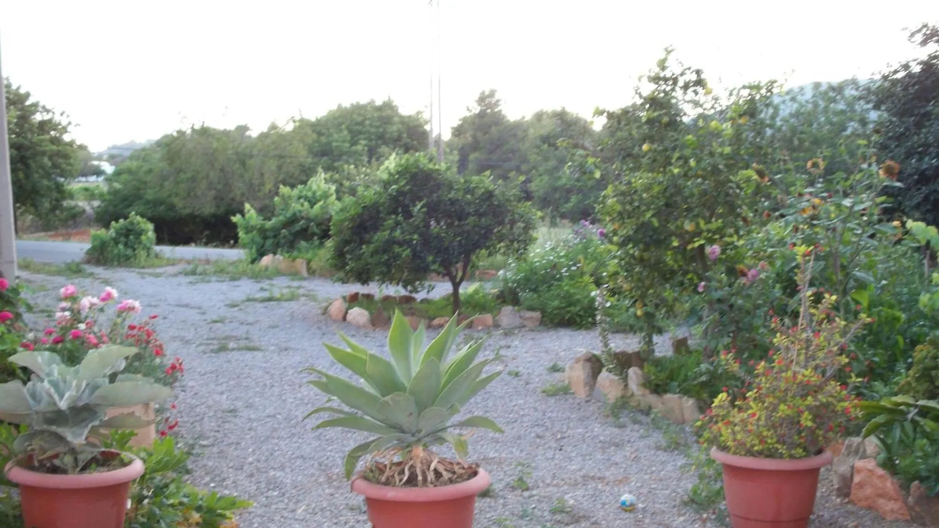 Affittacamere Pension Las Tres Golondrinas Playa DPlaya Des Figueral